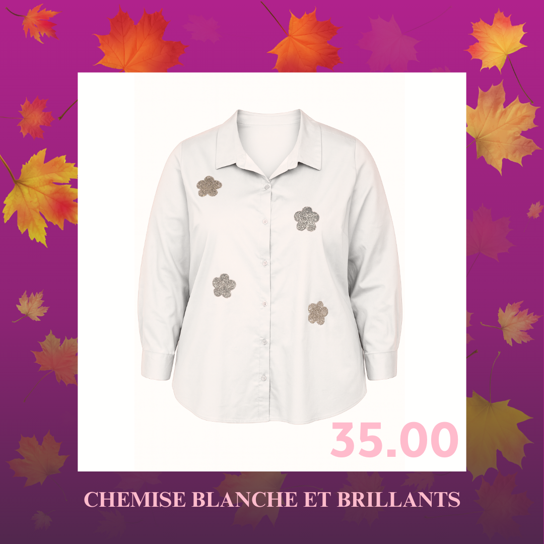 CHEMISE BLANCHE ET BRILLANTS